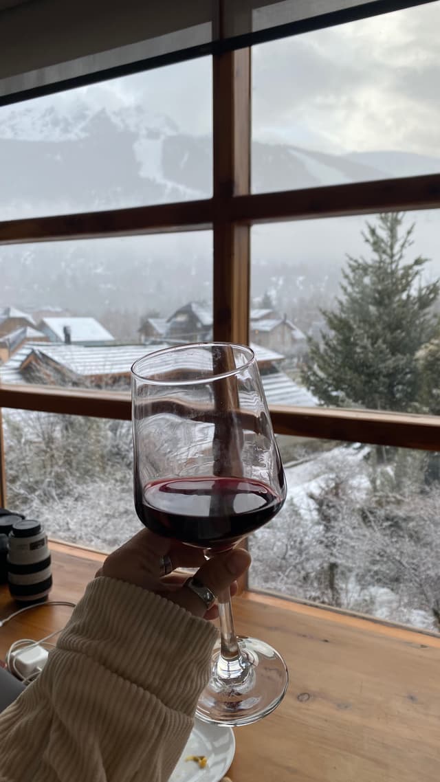 Vista 4 en Puerto Nevado